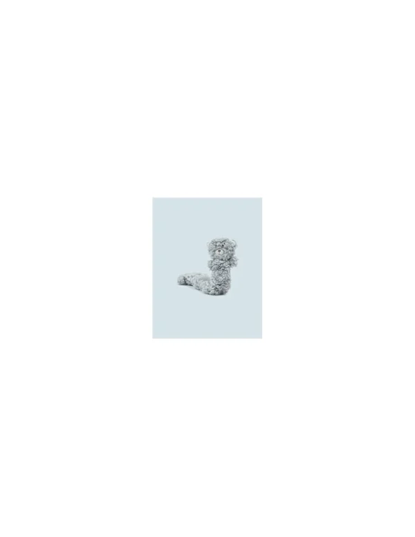 aromadog peluche orso millepiedi aromatizzato turchese