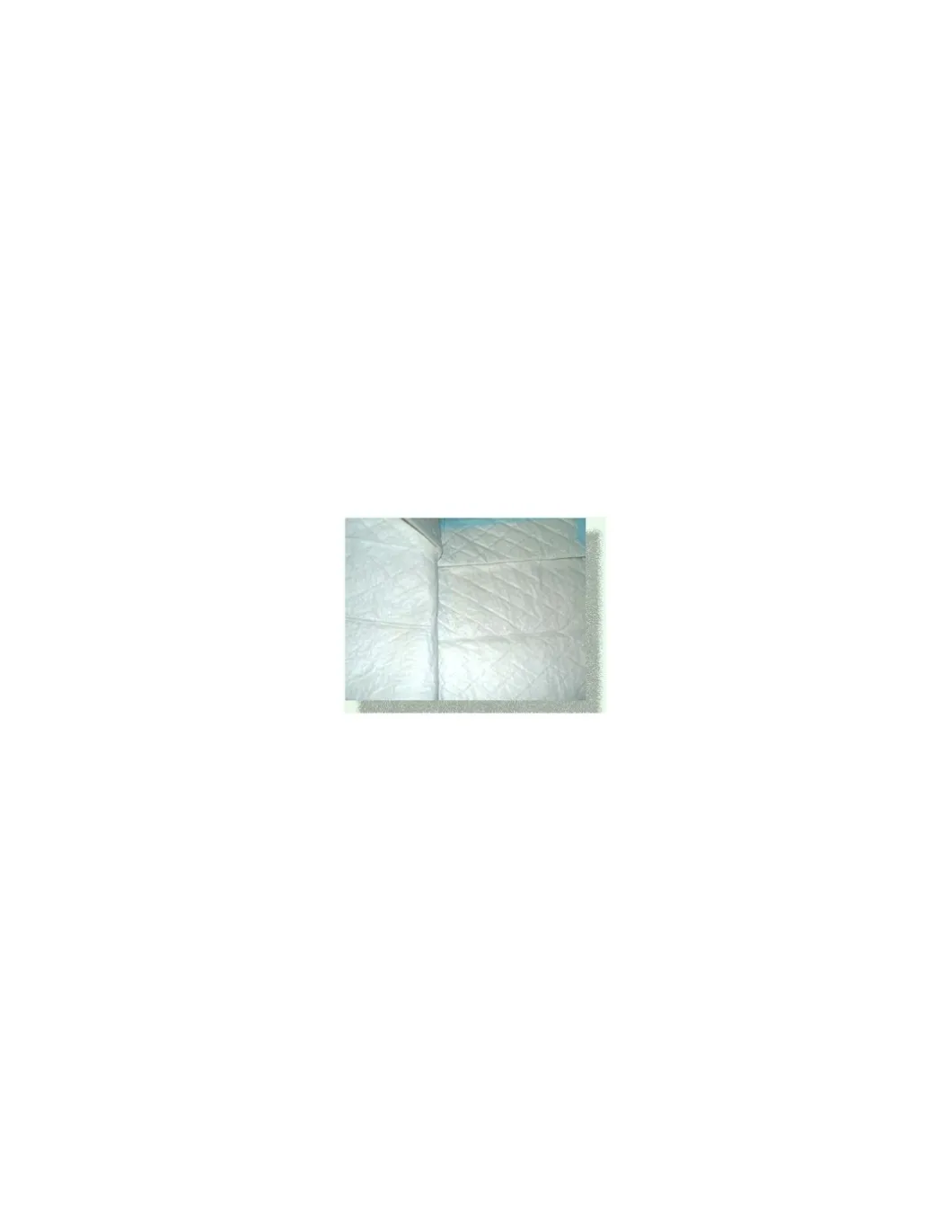 badiali_traversa_assorben_0-1.webp badiali traversa assorbente 60x90cm 30pz
