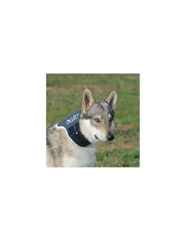 balto collare rigido neck tg.xs r.bt neck xs