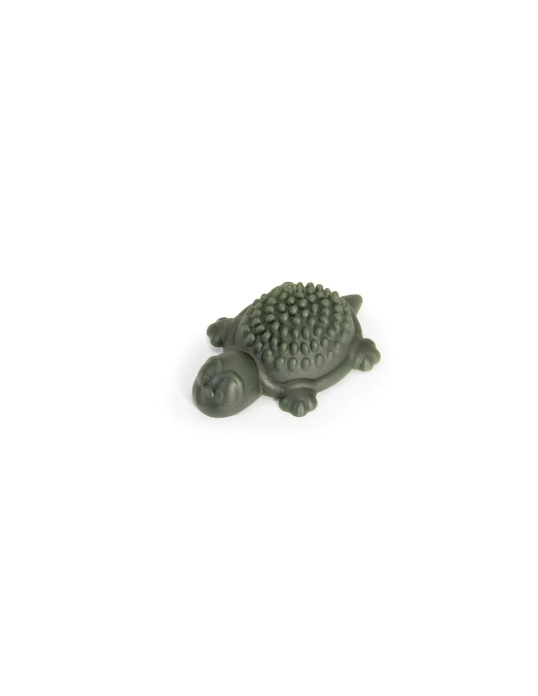 camon_snack_turtle_g_0.webp camon snack turtle 20g