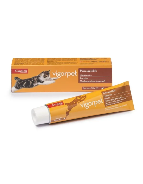 candioli vigorpet pasta multivitaminica per gatti 50g