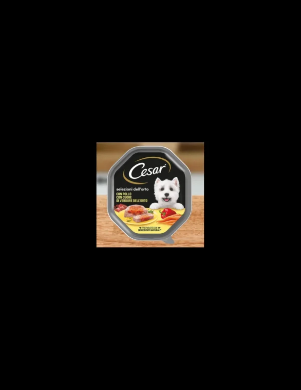 cesar 150gr selezioni dell'orto pate' pollo con cuore di verdure dell'orto 361544
