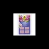compo concime in bastoncini per orchidee 20pz