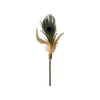 croci euphoria bacchetta silvervine pavone 12cm