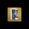 dieci cat 2kg superpremium adult salmone e pollo con riso