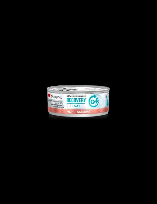 DISUGUAL DIET CAT LATTINA RECOVERY AL SALMONE 85GR DSDTG022