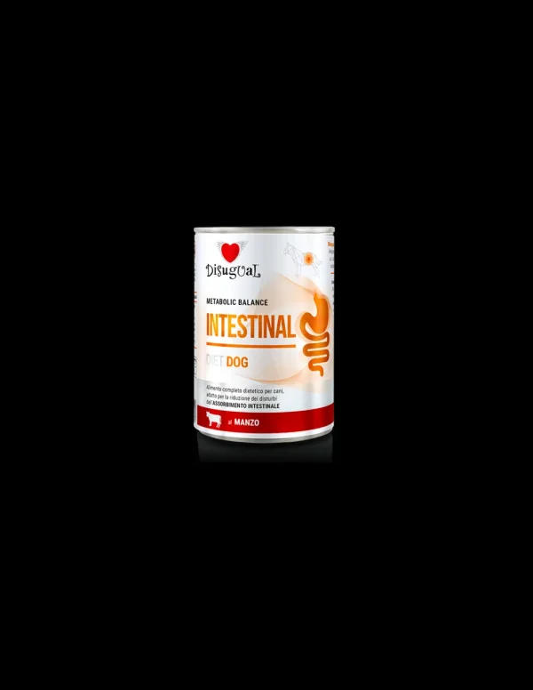 DISUGUAL DIET DOG LATTINA INTESTINAL AL MANZO 400GR DSDT030