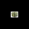 elim tarvisium vaso cubo prickly 17cm fj132a