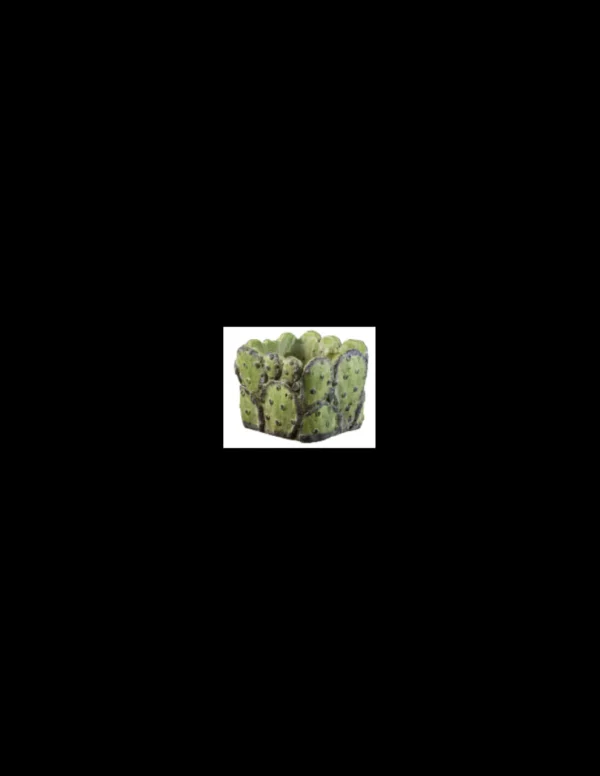 elim tarvisium vaso cubo prickly 14cm fj132b