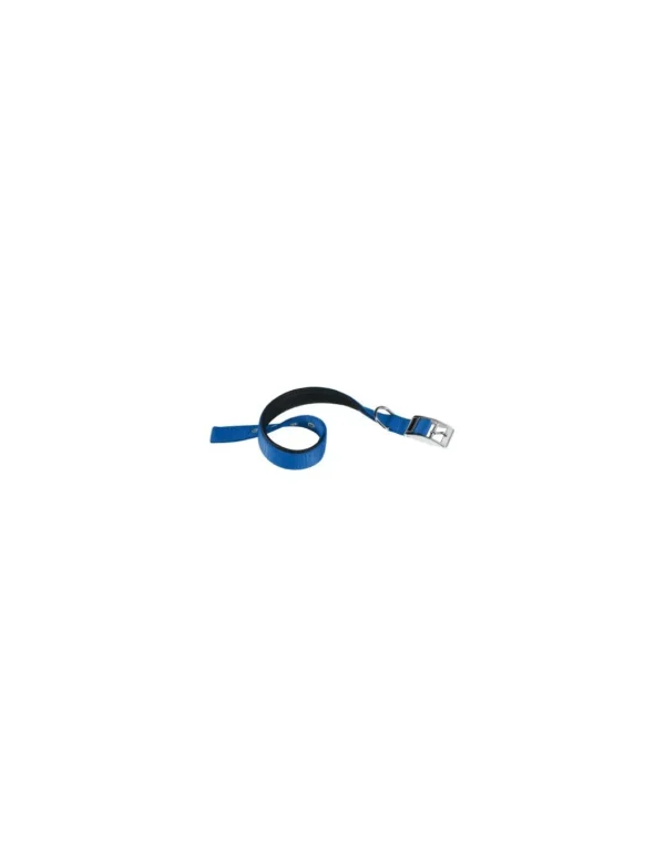 ferp dog collare daytona c40/69 blu 75297925