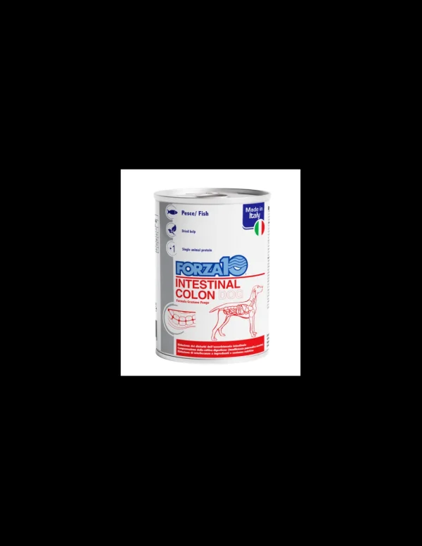 Forza 10 DOG ACTIVE 390GR INTESTINAL COLON WET 0939012