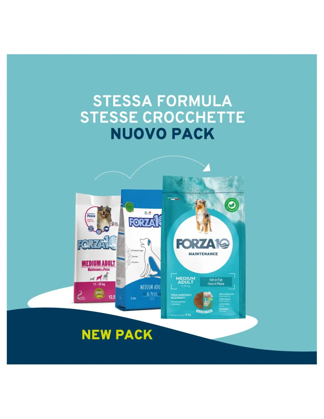 forza__dog_kg_maintenance_1-5.webp Forza 10 DOG 12KG MAINTENANCE ADULT MEDIUM PESCE 01090012
