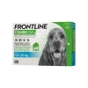 frontline combo 10-20kg 3pz