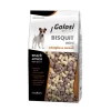 golosi dog bisquit mini 300gr vaniglia e cereali zgc.27091