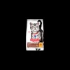 hills cat 300gr adult hairball&indoor pollo 604112