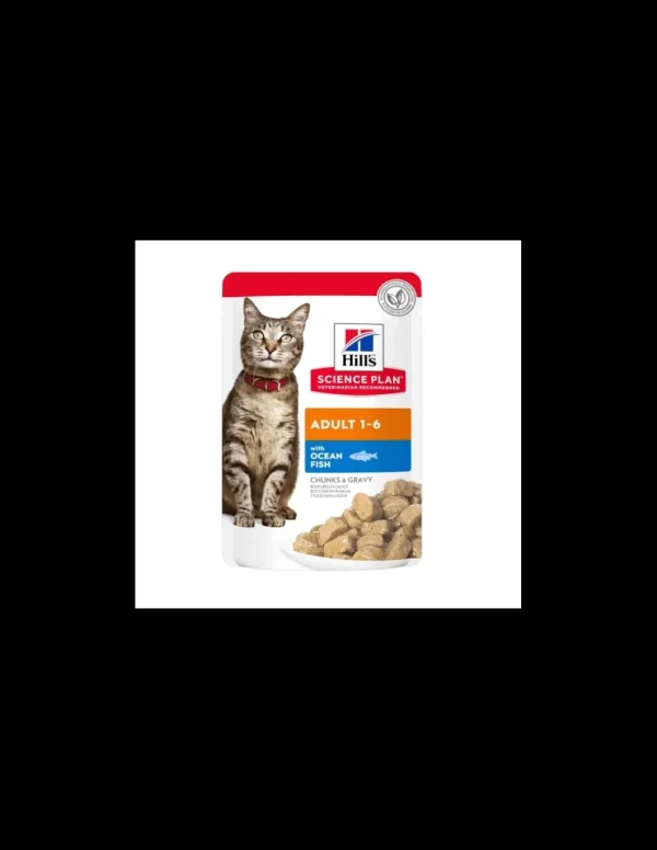 hills cat 85gr busta ad bocconi pesce oceanico 604006