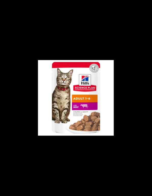 hills cat 85gr busta ad bocconi manzo 603999