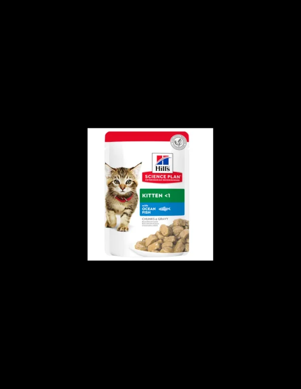 hills cat 85gr busta kitten bocconi pesce 604036