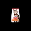 hills cat 7kg ad agnello 604070