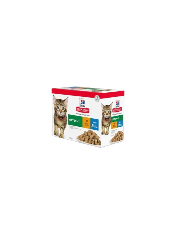 hills cat multipack 12x85gr kitten off 10+2 omaggio 604887