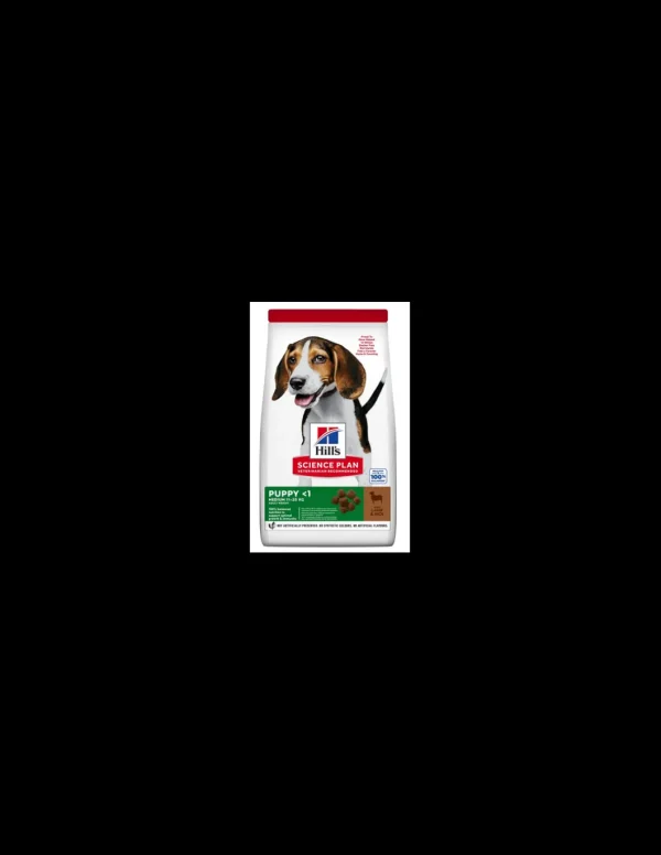 hills dog 2,5kg puppy medium agnello 604270