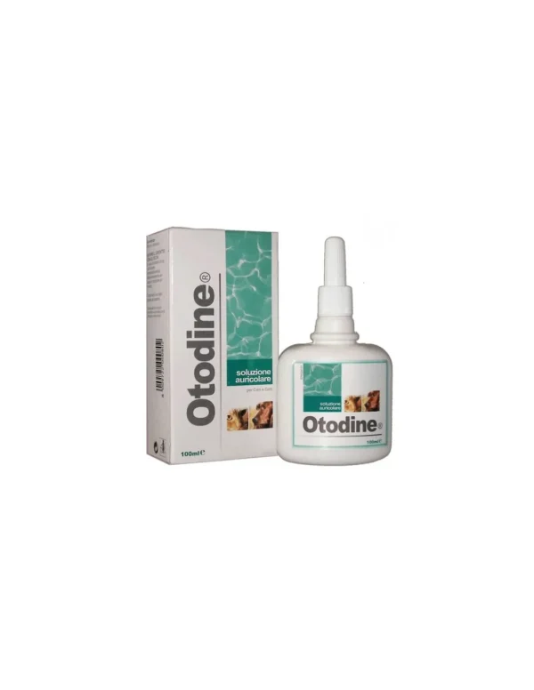 icf otodine soluzione auricolare 100ml pp1010002