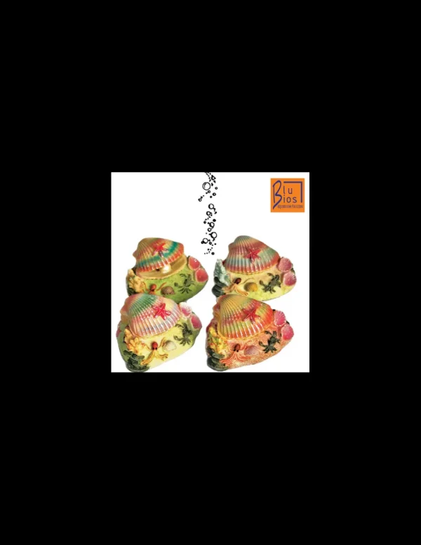 mant af283341 deco action piccola conchiglia