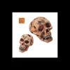mant af201708 deco teschio piccolo