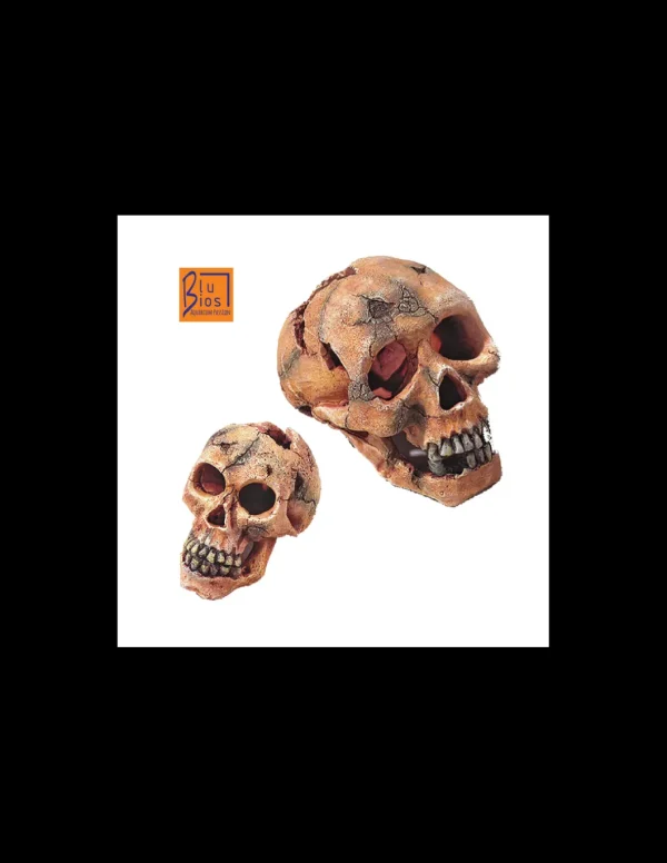 mant af201708 deco teschio piccolo