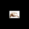 mant af110408 legno azalea radice m