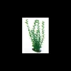 mant af224980 pianta dekor bushy cm. 20x15