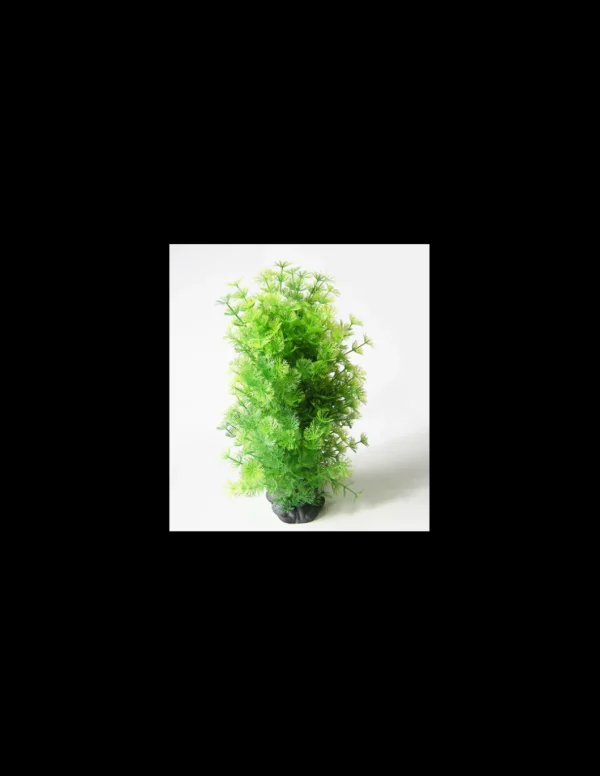 mant af224980 pianta dekor bushy cm. 20x15