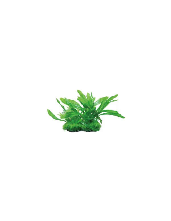 mant af224938 pianta dekor microsorum 22cm