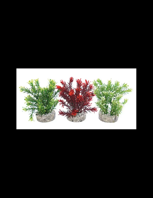 mant af226298 pianta sydeco jungle s 15cm