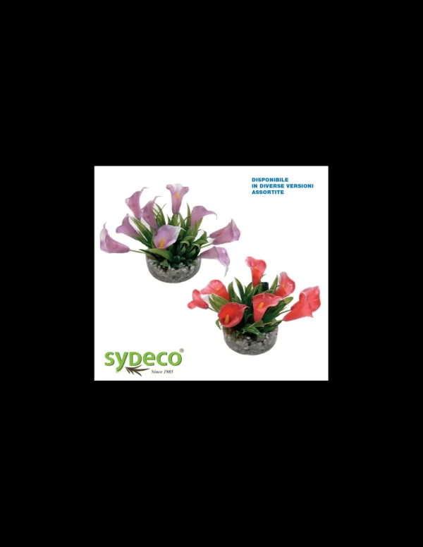 mant af226200 pianta sydeco lily 11cm