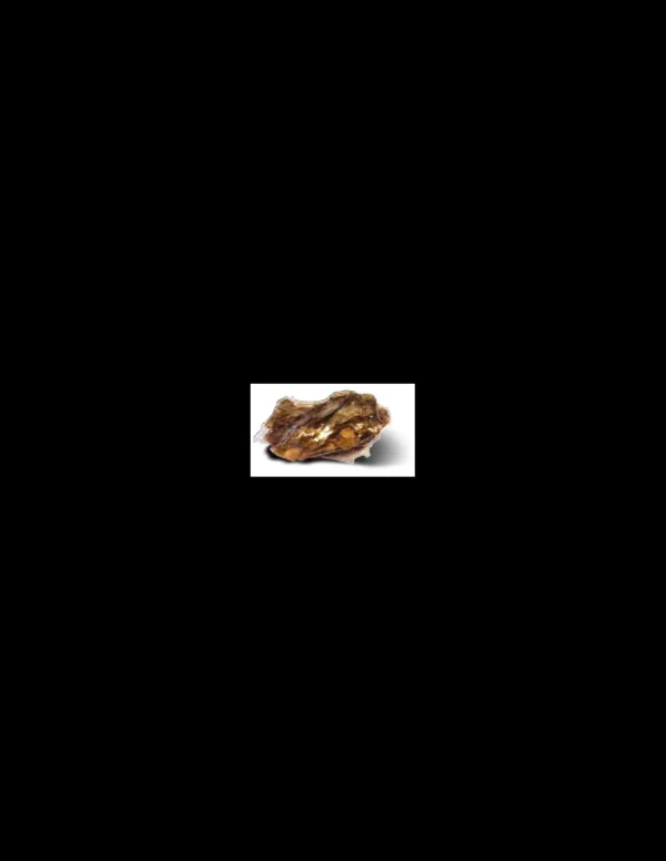 MANT AF133067 ROCCIA SKIN PACK DRAGON MIS. S