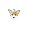 MY FAMILY MEDAGLIA WELSH CORGI MF66