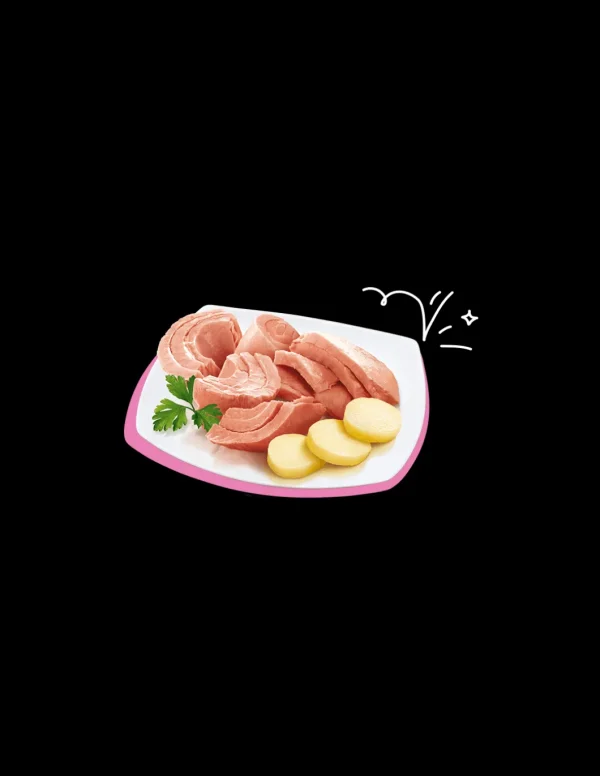 PETREET NAT 140GR TONNO ROSA CON PATATE A07 A53147