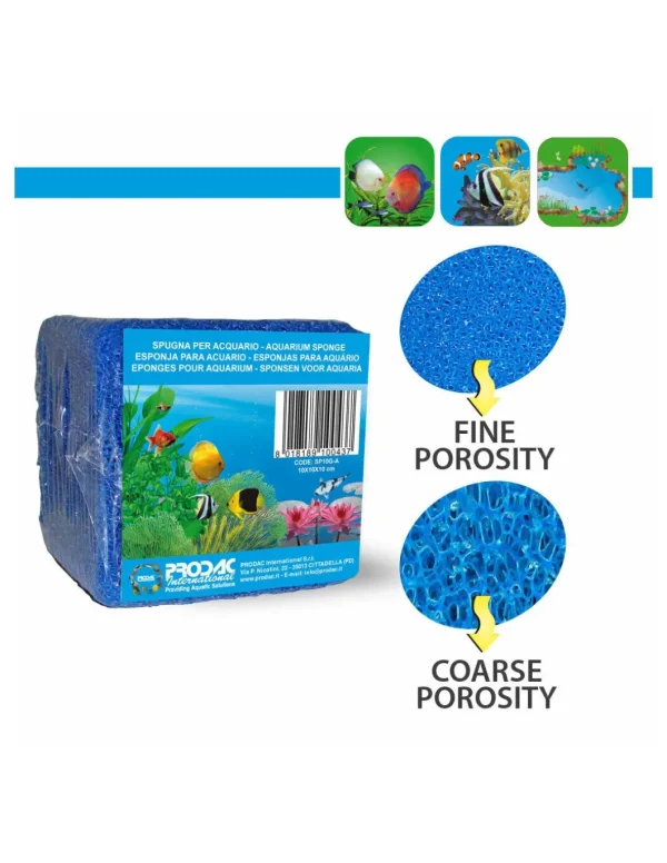PRODAC SPUGNA GRANA GROSSA 100X50X10 SP100G