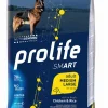 prolife dog smart adult medium large 12kg chicken&rice zpd.34655