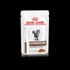 royal cat diet wet gastro intestinal moderate calorie 100gr vhnwet7066