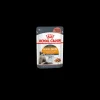 royal cat 85gr busta gravy hair and skin fcnwet7027