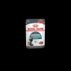 royal cat 85gr busta gravy hairball care fcnwet7042