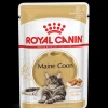 royal cat 85gr fette in salsa maine coon fbnwet7053