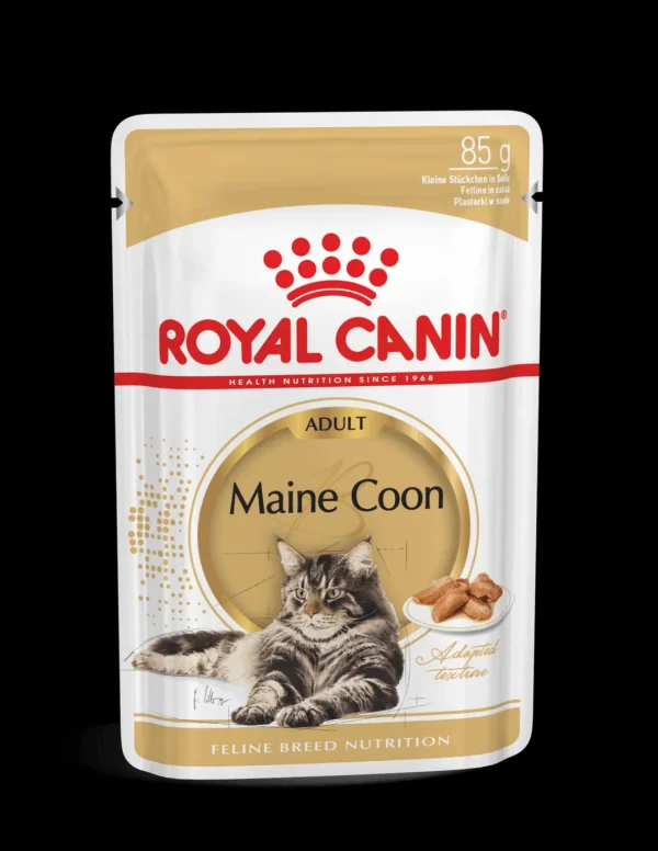 royal cat 85gr fette in salsa maine coon fbnwet7053