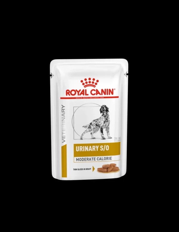 royal dog diet wet urinary 100gr vhnwet6051