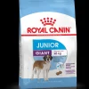 royal dog giant junior 15kg shn1385