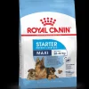 royal dog maxi starter mother&babydog 15kg shn1207