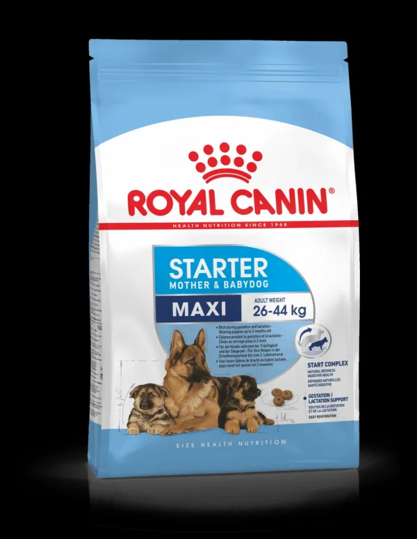 royal dog maxi starter mother&babydog 15kg shn1207