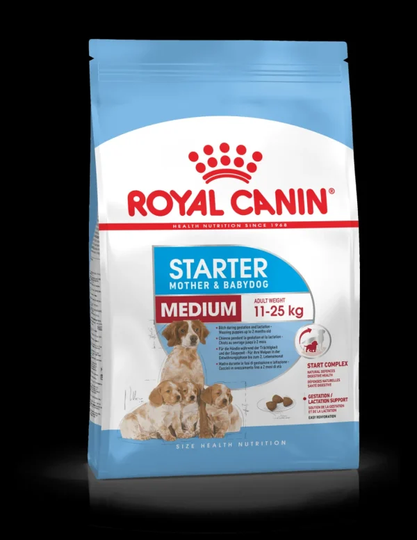 royal dog medium starter mother&babydog 4kg shn1372